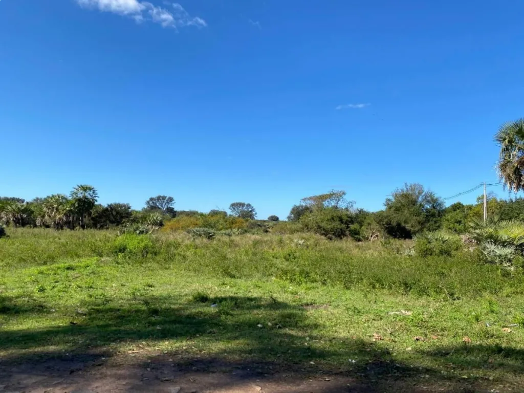 VENDO TERRENO EN LIMPIO — photo 2