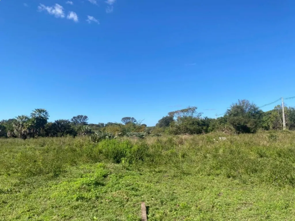 VENDO TERRENO EN LIMPIO — photo 3