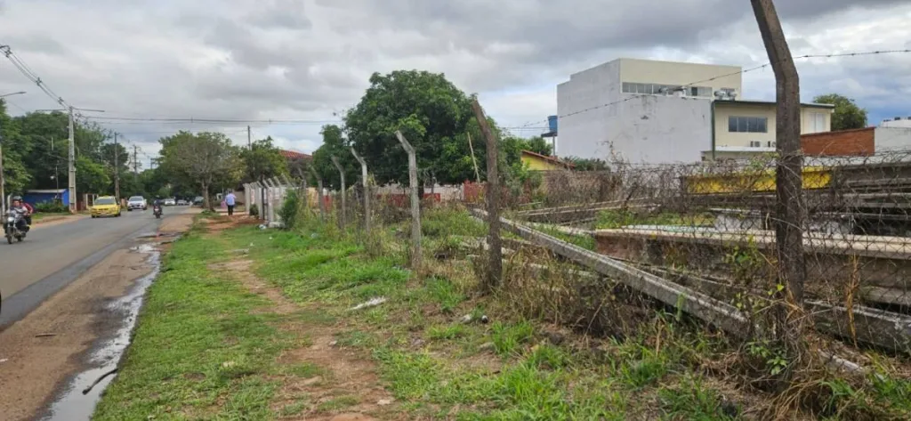 TRES TERRENOS EN FERNANDO DE LA MORA — photo 3