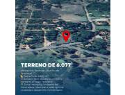 VENTA DE TERRENO DE 6.077 m² - Pedroso, distrito de Ypacaraí