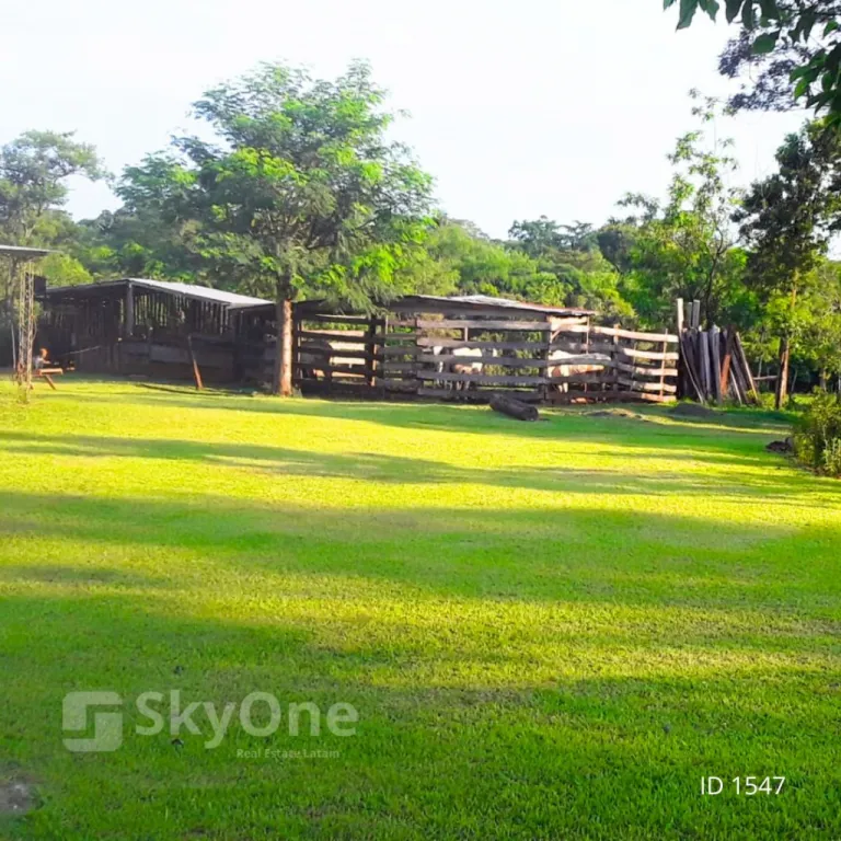 VENDO PROPIEDAD RURAL - GRAL. AQUINO CHORE — foto 2