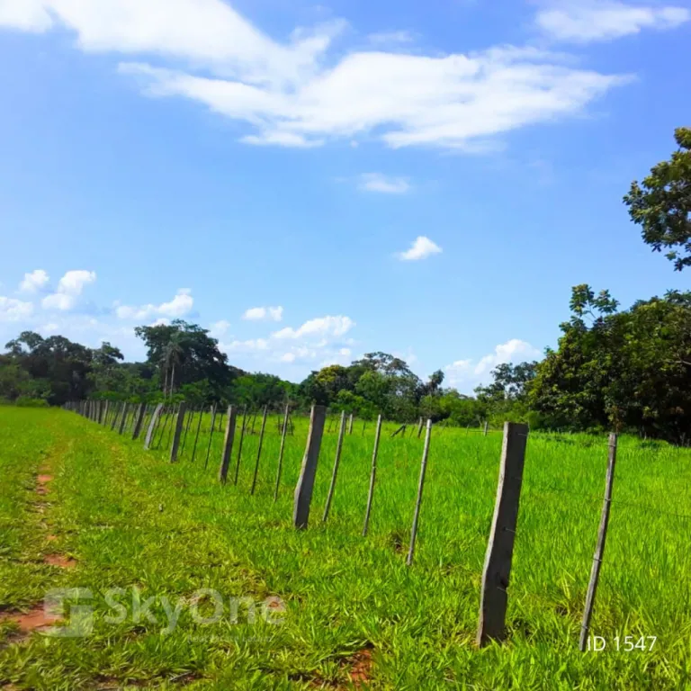 VENDO PROPIEDAD RURAL - GRAL. AQUINO CHORE — foto 3