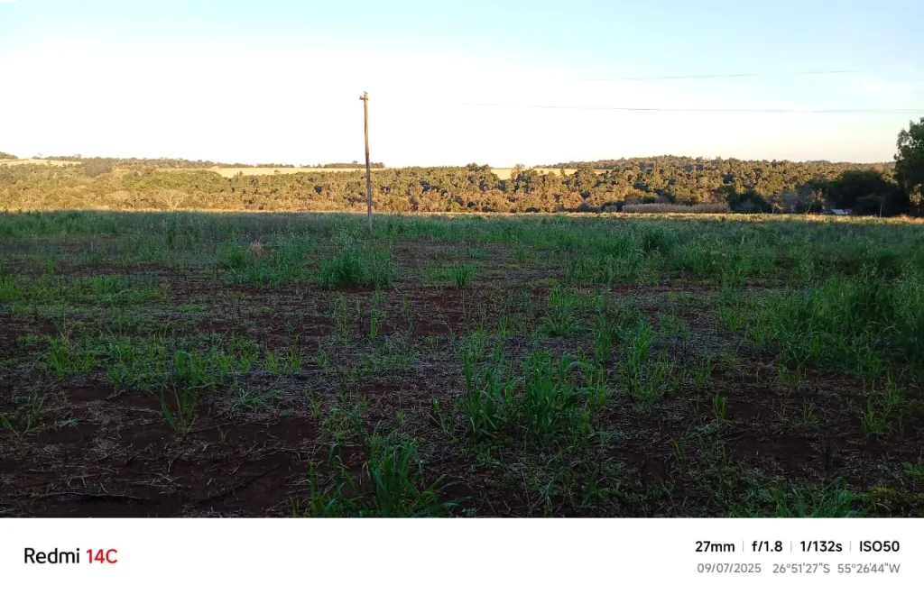 VENTA PROPIEDAD AGRICOLA — foto 2