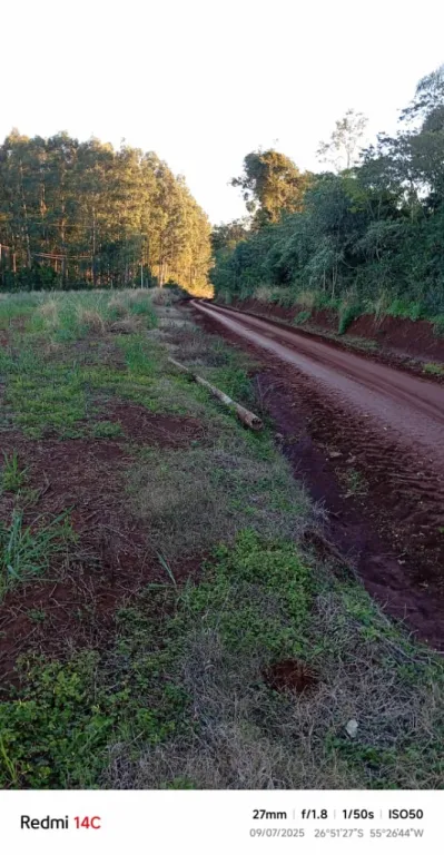 VENTA PROPIEDAD AGRICOLA — foto 3