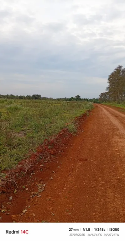 VENTA DE PROPIEDAD AGRICOLA — foto 3