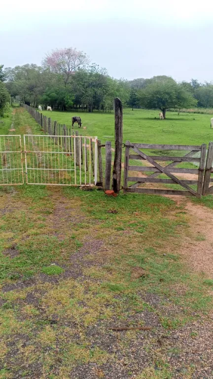🌿 ¡Terreno en venta sobre la Ruta Paraguarí – Pirayú! 🌿 📍 Ubicación estratégica — фото 2