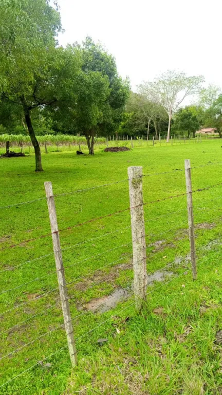 🌿 ¡Terreno en venta sobre la Ruta Paraguarí – Pirayú! 🌿 📍 Ubicación estratégica — фото 3