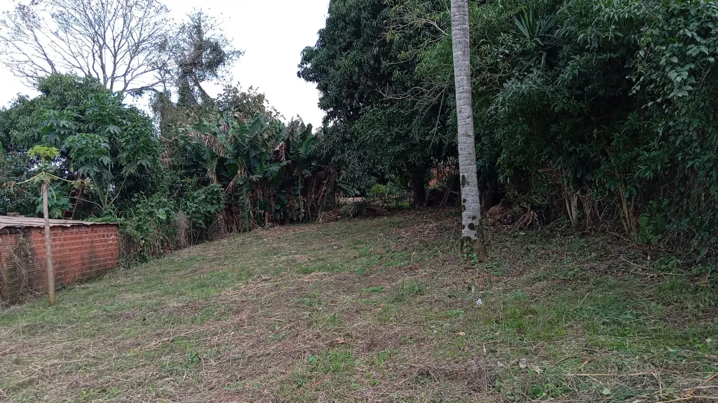 Terreno en zona céntrica de Hohenau - Colonias Unidas — foto 3