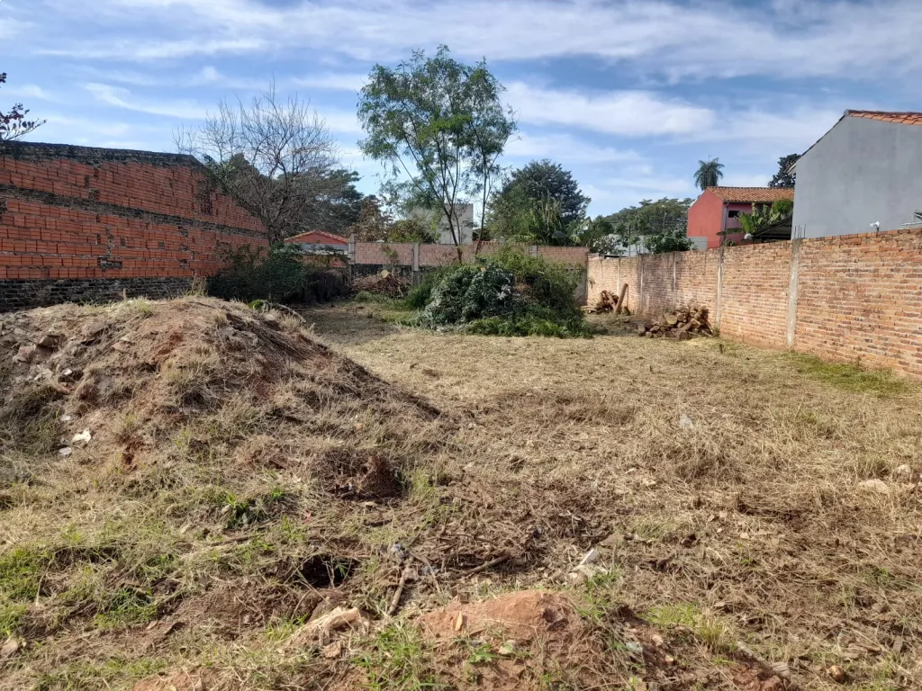 Terreno en San Lorenzobarrio Los Nogales (Ex Lucerito) — foto 2