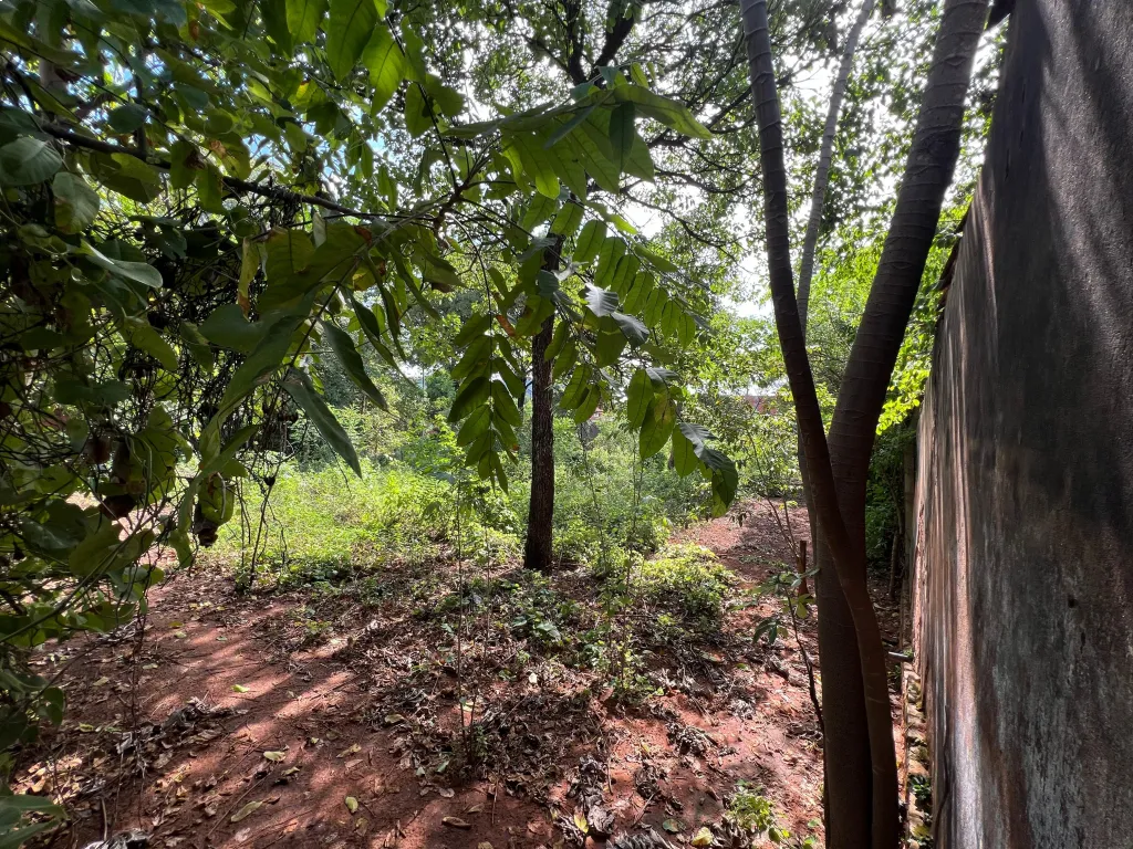 OFERTA TERRENO 12x30 en Ñemby Barrio La Lomita, a 30mt de Asfalto. — фото 3