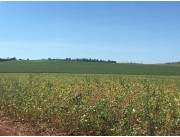 VENTA DE PROPIEDAD AGRICOLA MECANIZADA