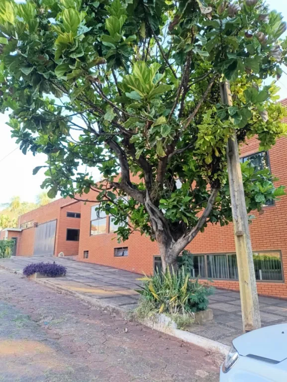 VENDO HERMOSO EDIFICIO EN CIUDAD DEL ESTE! — foto 2
