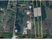Vendo 80.000 hectareas en Limpio Salado.