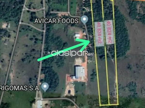 Vendo 80.000 hectareas en Limpio Salado. — Foto 2