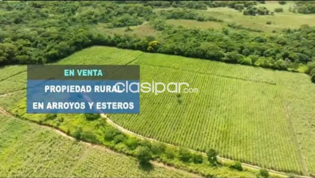 Venta de Hectáreas en Arroyos y Esteros-Cordillera — foto 3