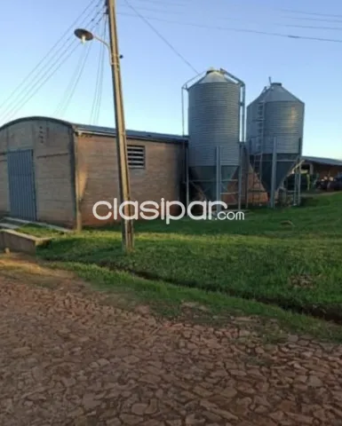 CNEL. OVIEDO, IDEAL P CRIA DE CERDOS! 65 HAS FORMADAS, FLORECIENTE PRODUCTIVIDAD, SRUTA — foto 2