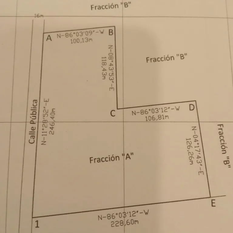 EN VENTA - 4 HECTAREAS SAN BERNARDINO — foto 2