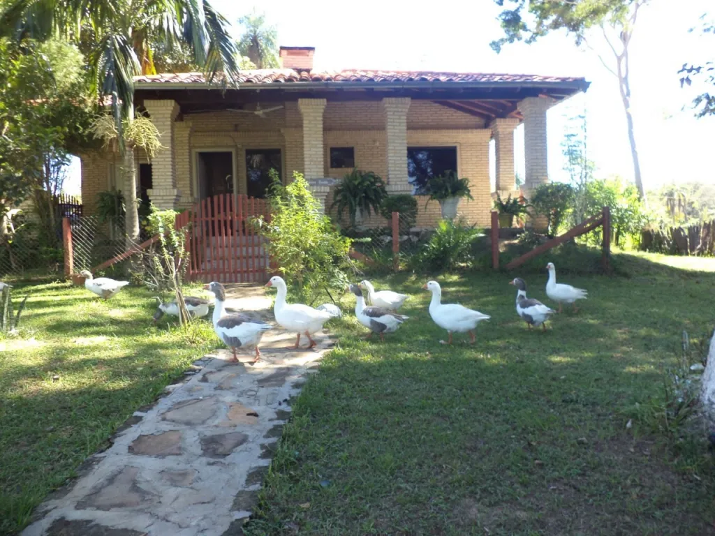 Vendo propiedad en Isla Puku Cordillera — foto 2