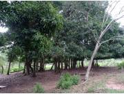 Terreno de 22 has en emboscada oferta en 680.000.000 gs.