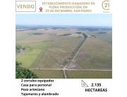 Establecimiento Ganadero en 25 de Diciembre San Pedro