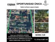 Terreno de 8ha sobre ruta luque limpio