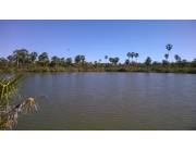 Vendo Campo Ganadero de 1028 ha s/Ruta a Fuerte Olimpo - Toro Pampa