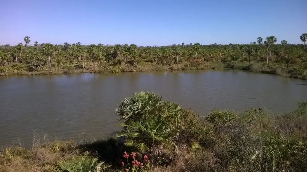 Vendo Campo Ganadero de 1028 ha sRuta a Fuerte Olimpo - Toro Pampa — foto 3