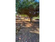 VENDO TERRENO EN ISLA BOGADO - LUQUE