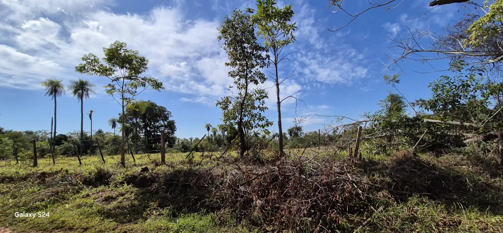 Vendo 10 hectareas en Cordillera Eusebio Ayala — foto 2