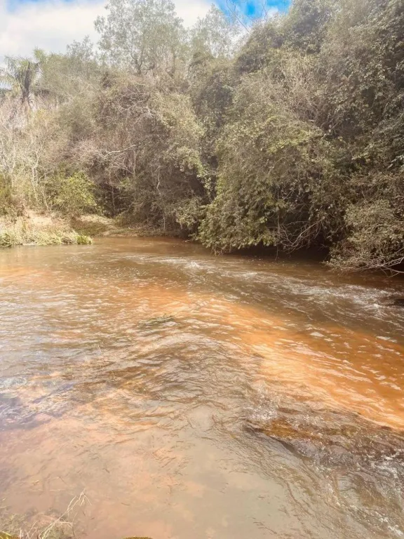 VENDO 40 HECTAREAS EN YBYCUI CON ARROYO — foto 3