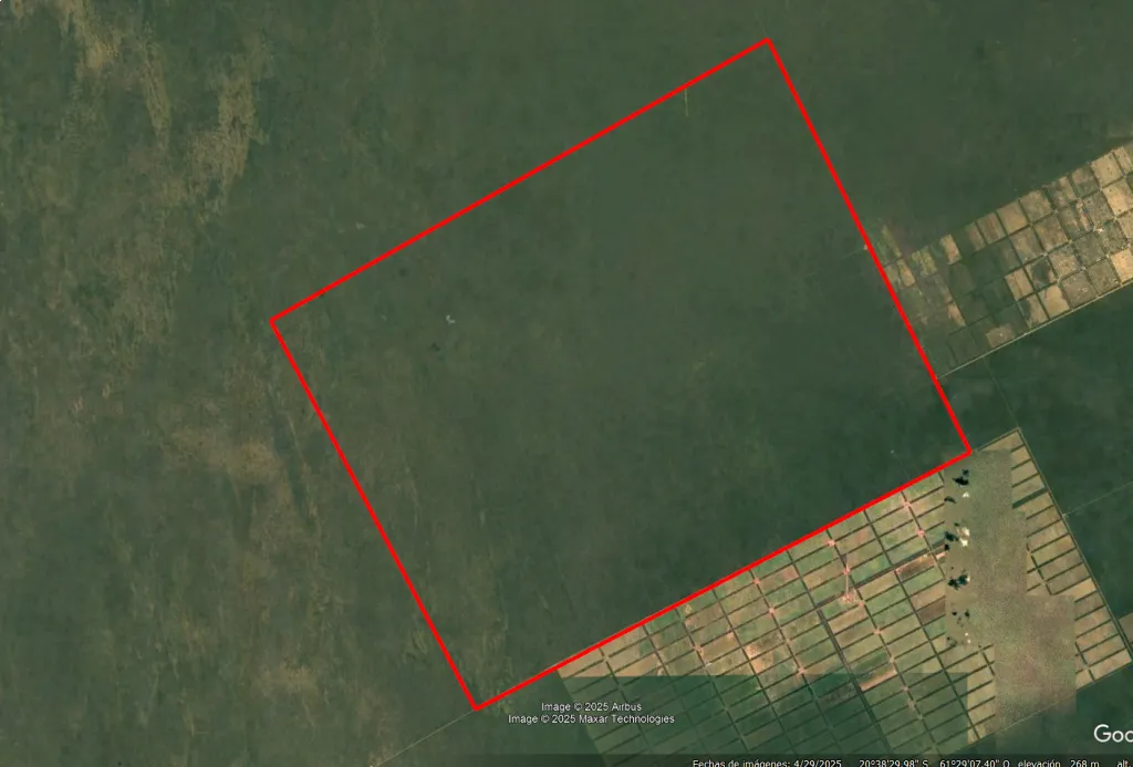 37.370ha de puro bosque nativo — foto 2