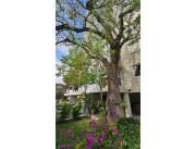 En Venta Pent-house de 2 pisos en Asunción ID 38655