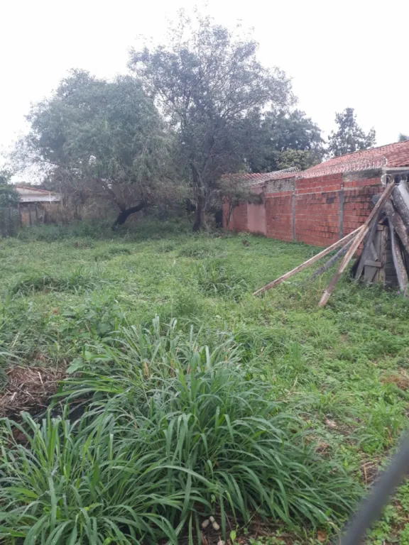 VENDO TERRENO 12x30mts – Zona Moracue, Luque — foto 2