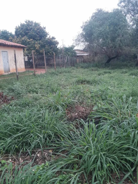 VENDO TERRENO 12x30mts – Zona Moracue, Luque — foto 3