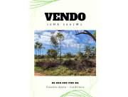 Vendo 10 hectareas Eusebio Ayala - Cordillera