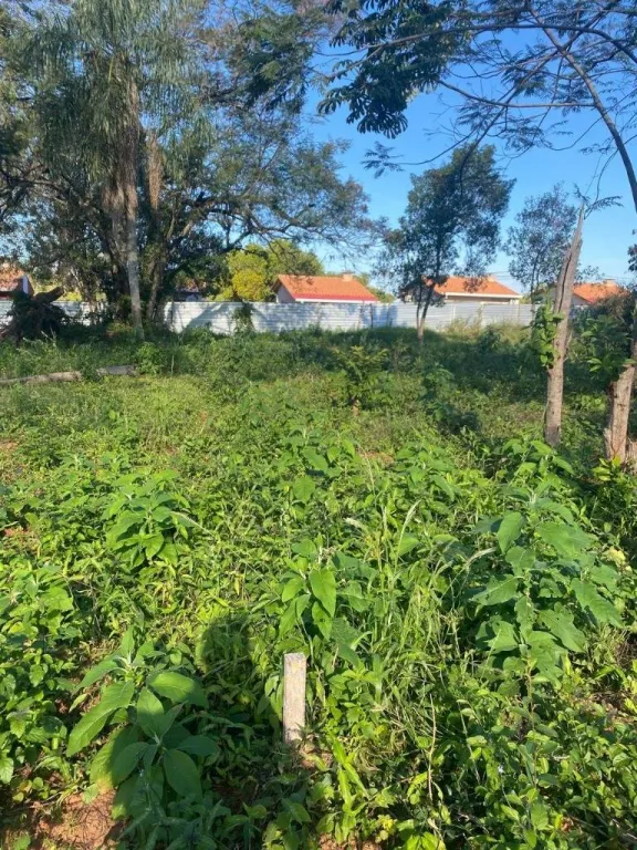EN VENTA TERRENO EN CAÑADA GARAY - LUQUE — foto 3