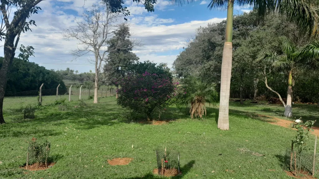 Anuncio 2768762 — foto 3