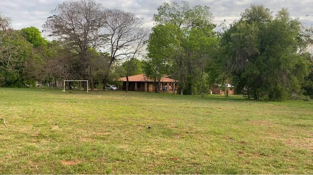 Vendo terreno de 1 ha sobre Américo Picco en Villa Elisa ID 38394 — foto 2