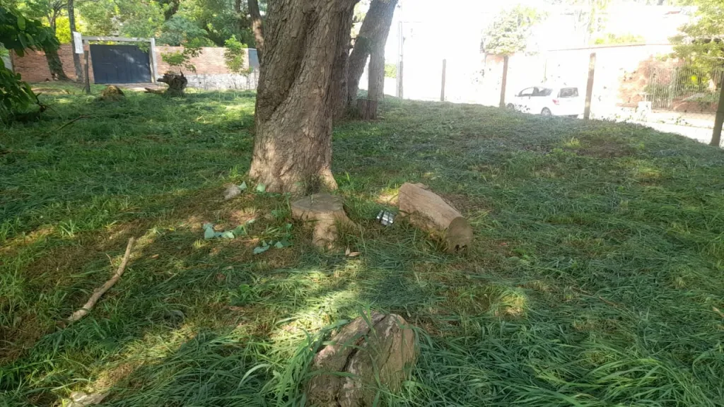 Terrenos sobre Pizarro, Limite con Lambaré — foto 2