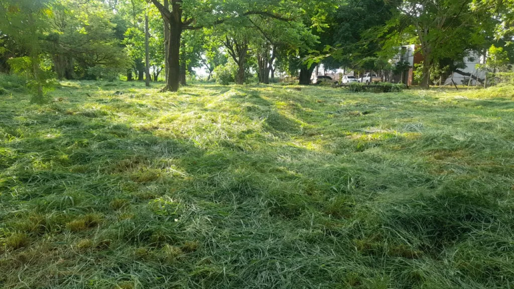 Terrenos sobre Pizarro, Limite con Lambaré — foto 3