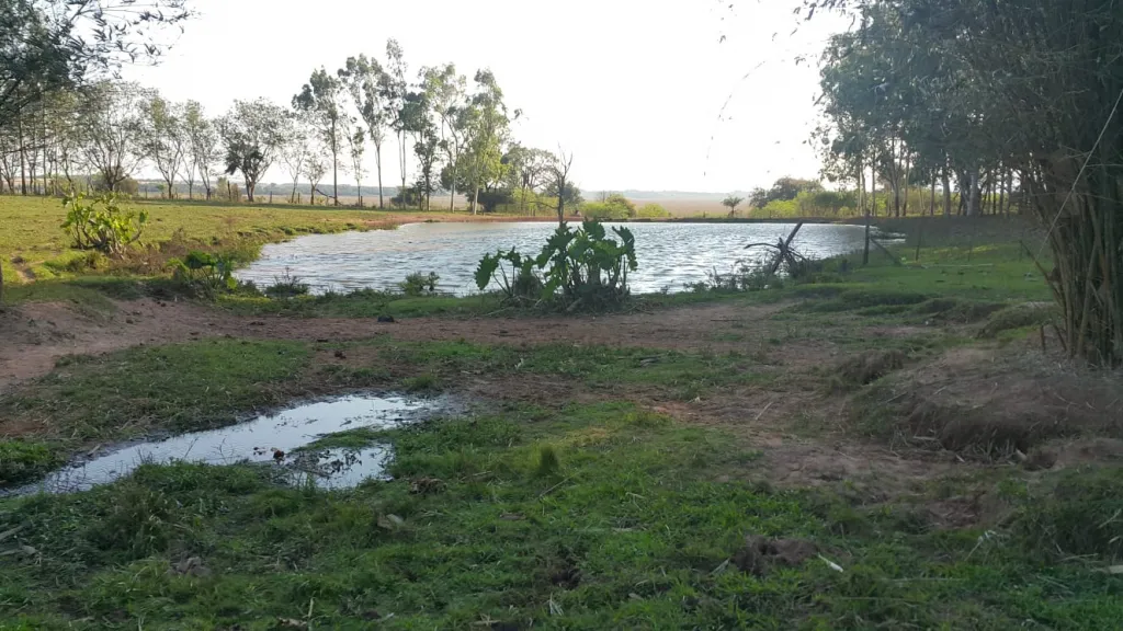 CAMPO DE 230 HECTAREAS EN YBYCUI- PARAGUARI — foto 2