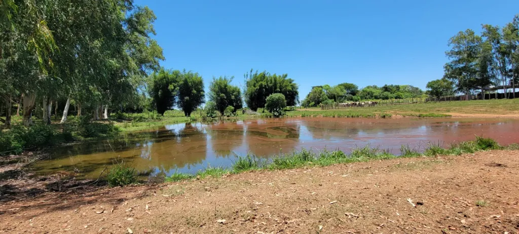CAMPO DE 230 HECTAREAS EN YBYCUI- PARAGUARI — foto 3