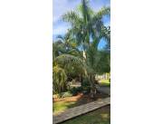 Hermosa Residencia en venta en San Bernardino