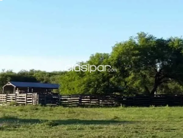 Vendo 11.200 Hectareas en Pozo Azul¨. Boqueron — foto 3
