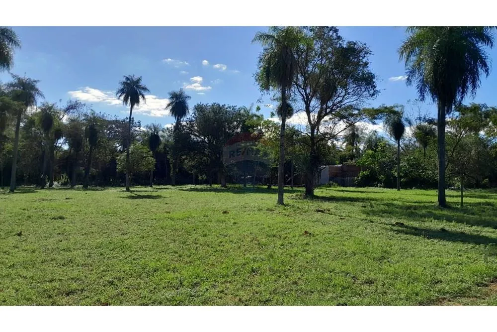 VENDO TERRENO EN YPANÉ 60 METROS DE LA RUTA — foto 3