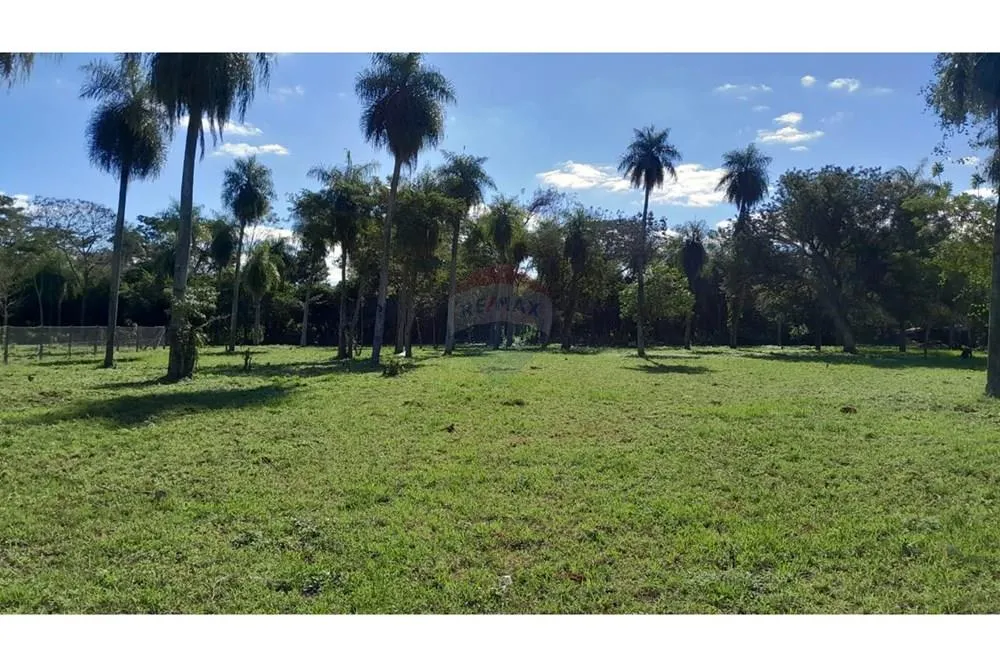 VENDO TERRENO EN YPANÉ SOBRE RUTA — foto 2