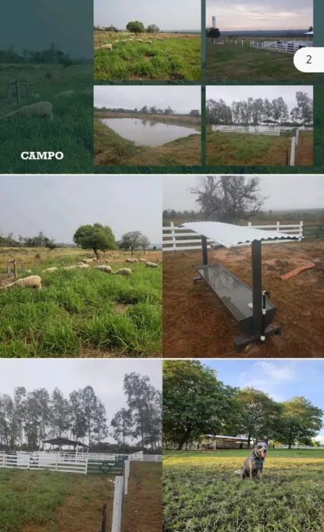 Vendo Hermosa Casa Quinta de 47 Hectáreas en Quiindy, Paraguari - CLCS7253810 — foto 3