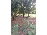 Terreno en Oferta en Caacupe con Arroyo