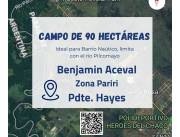 EN VENTA 90 HECTAREAS EN BENJAMIN ACEVAL
