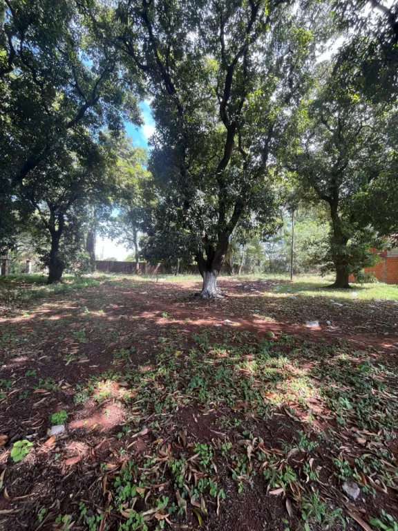 Vendo Hermoso Terreno en Lambare Puerto Pabla — foto 3
